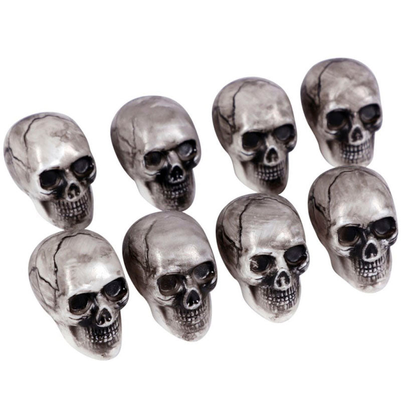 Blíster Cráneos Esqueleto