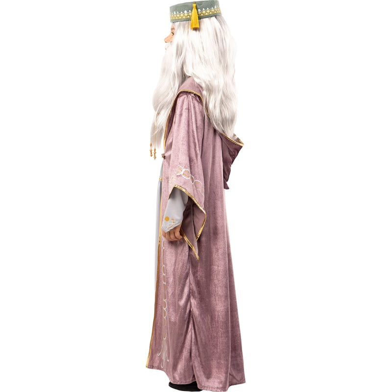 Disfraz de Dumbledore Harry Potter para niño Perfil