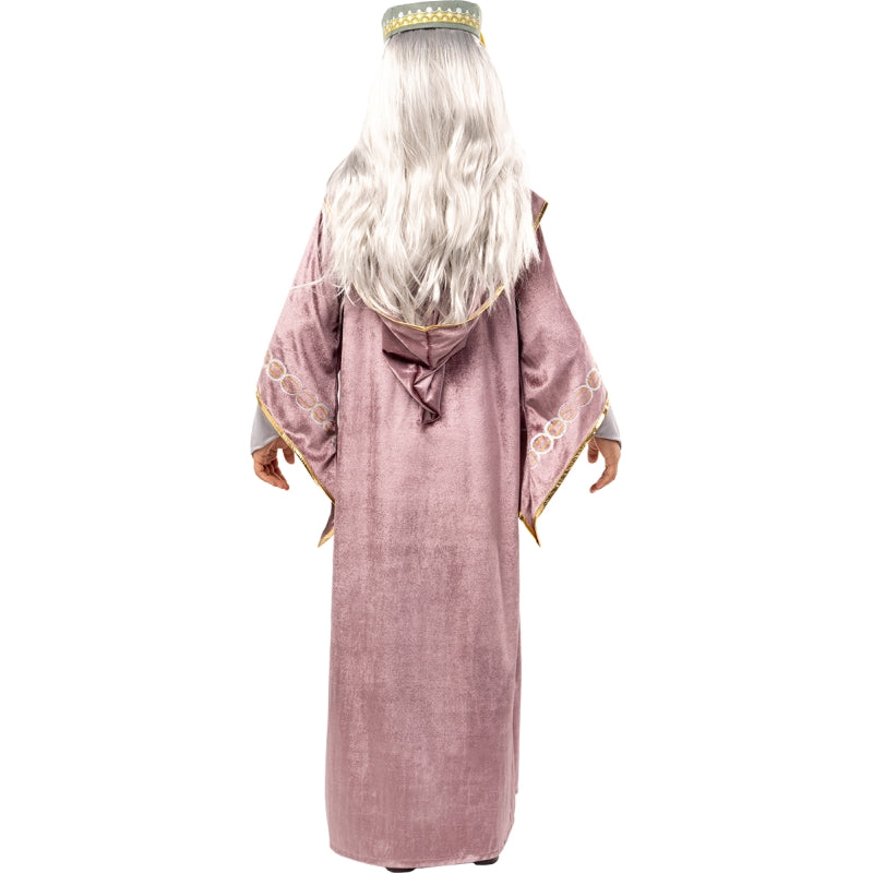 Disfraz de Dumbledore Harry Potter para niño Espalda
