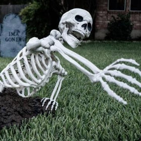 Decoración de Esqueletos