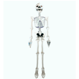 Esqueleto Hinchable Halloween