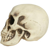 Calavera Foam Perfil