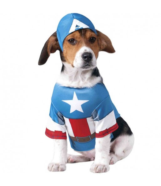 Disfraz de Capitán América para perro