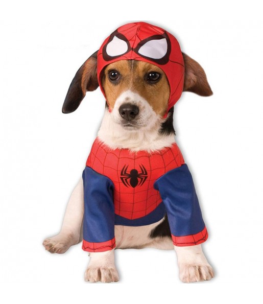Disfraz de Spiderman para perro