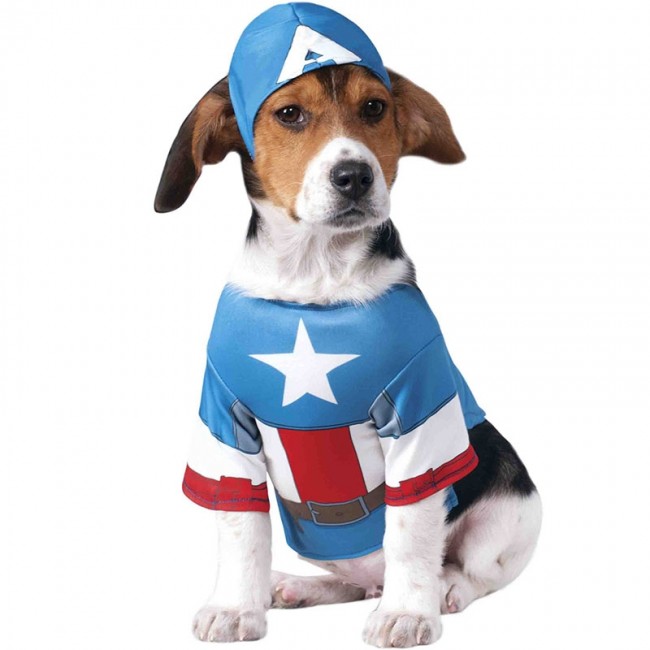 Inapropiado Ardiente coreano ▷ Disfraz Capitán América para Perros y Mascotas |【Envío en 24h】