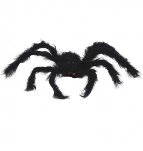 Araña negra 50 cm