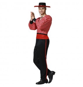 Disfraz de Flamenco Rojo