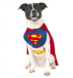 Disfraz de Superman para perro