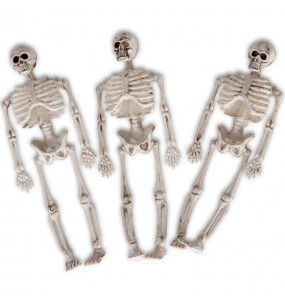 Bolsa con 3 esqueletos
