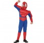 Disfraz Spiderman Musculoso