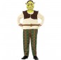 Disfraz de Shrek Deluxe para niño