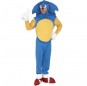 Disfraz de Sonic the Hedgehog para adulto