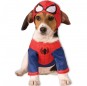 Disfraz de Spiderman para perro