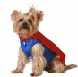 Disfraz de Superhéroe para perro